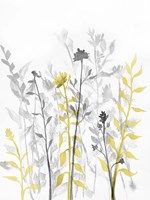 Illuminating Growth 2 Fine Art Print