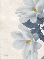 Magnolia Blues 2 Fine Art Print