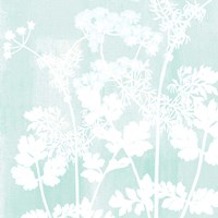 Botany 2 Fine Art Print