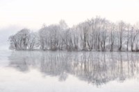 Mist Lake Fine Art Print