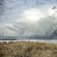 Moody Beach Day Fine Art Print