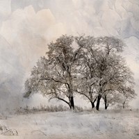 Winter Frost 2 Framed Print