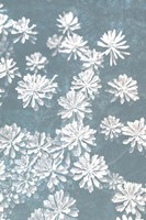 Blooms Falling Fine Art Print