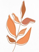 Shades of Orange 1 Fine Art Print