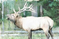 Linen Pressed Elk Fine Art Print