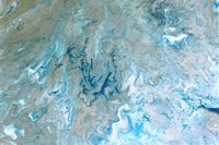 Sea Floor Fine Art Print