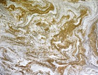 Desert Sands Fine Art Print