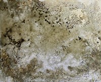 Fissures 2 Fine Art Print