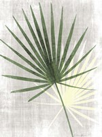 Cabana 1 Fine Art Print