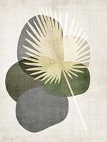 Cabana Palm 1 Fine Art Print