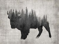 Pine Bison Fine Art Print