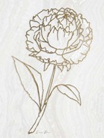 Golden Peony 1 Fine Art Print