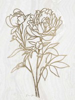 Golden Peony 2 Fine Art Print