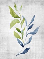 Balance 1 Fine Art Print