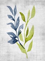 Balance 2 Fine Art Print