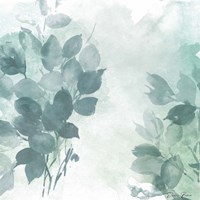 Watercolor Leaves 1 Fine Art Print