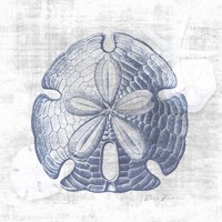 Sand Dollar 1 v2 Fine Art Print
