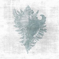 Sea Life 1 v2 Fine Art Print