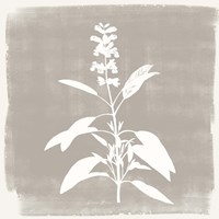 Sophisticated Floral 3 Fine Art Print