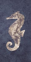 Sea Horse Coastal 1 Fine Art Print