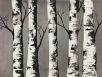 Birch Backwoods Fine Art Print