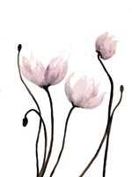 Fresh Growth 2 Fine Art Print