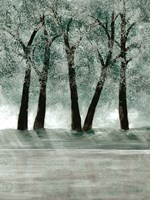 Green Forest 3 Fine Art Print