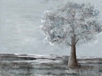 Solitary Beauty 1 Fine Art Print