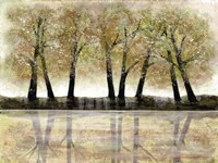 Spring Forest Fine Art Print