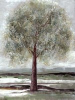 Twilight Of Spring 1 Fine Art Print