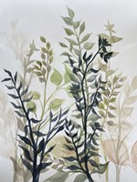 Reaching Heights 2 Fine Art Print