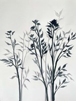 Botanical Inspiration 1 Fine Art Print