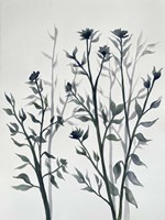 Botanical Inspiration 2 Fine Art Print