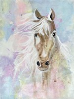 Magical Steed 1 Fine Art Print