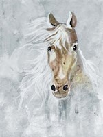 Magical Steed 2 Fine Art Print