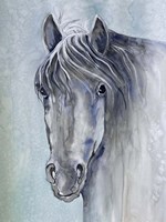 Gentle Stallion 1 Fine Art Print