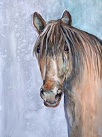 Gentle Stallion 2 Fine Art Print