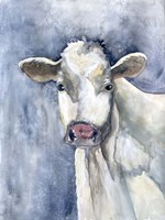 Proud Cattle 1 Fine Art Print