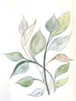 Surfaced Growth 2 Framed Print