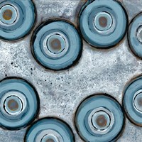 Tadpole Cluster 1 Fine Art Print