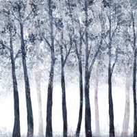 Wooded Grove Fine Art Print