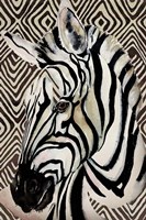 Designer Zebra Fine Art Print