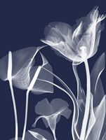 Navy Flora 2 Fine Art Print