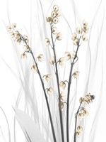 Delightful Oasis 4 Fine Art Print