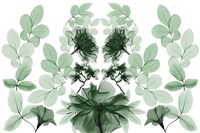 Emerald Growth 1 Fine Art Print