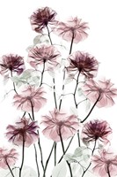 Magnificent Flower Bed 2 Fine Art Print