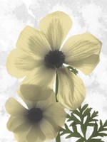 Bright Magnolia 2 Fine Art Print