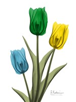 Jeweled Tulip Trio 2 Fine Art Print