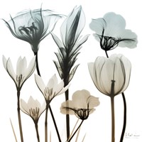 Sandy Floral Cluster 1 Fine Art Print