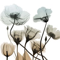 Sandy Floral Cluster 2 Fine Art Print